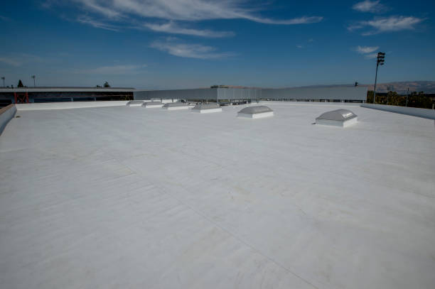 Best Commercial Roofing Services  in White Pigeon, MI
