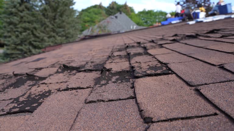 Best Tile Roofing Installation  in White Pigeon, MI