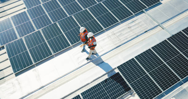 Best Slate Roofing  in White Pigeon, MI