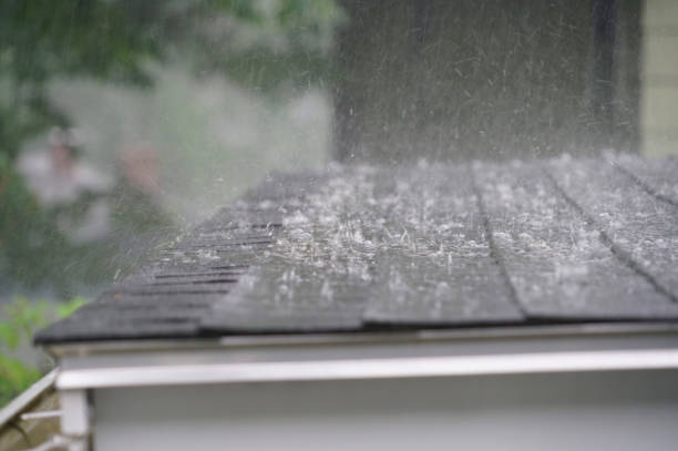Trusted White Pigeon, MI Roofing Experts